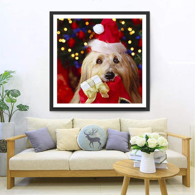 Mignon Petit Chien à Poil Long Broderie Diamant