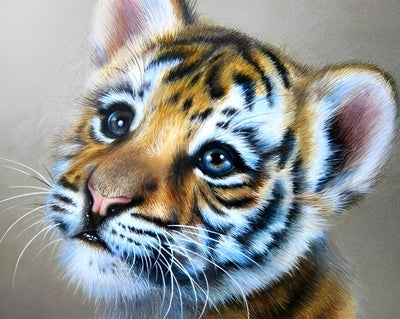 Mignon Petit Tigre Broderie Diamant