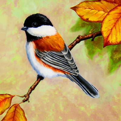Mignonne Mésange Broderie Diamant