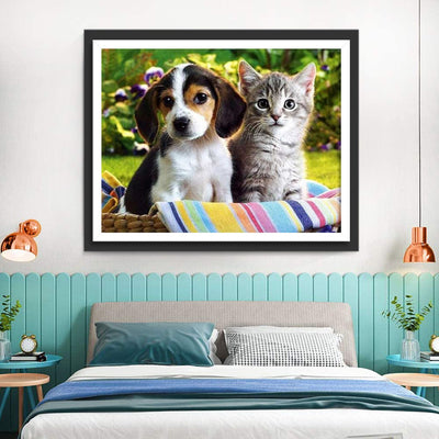 Mignons Chiot Beagle et Chaton Animal Broderie Diamant