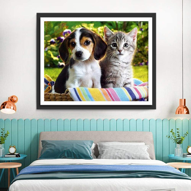 Mignons Chiot Beagle et Chaton Animal Broderie Diamant