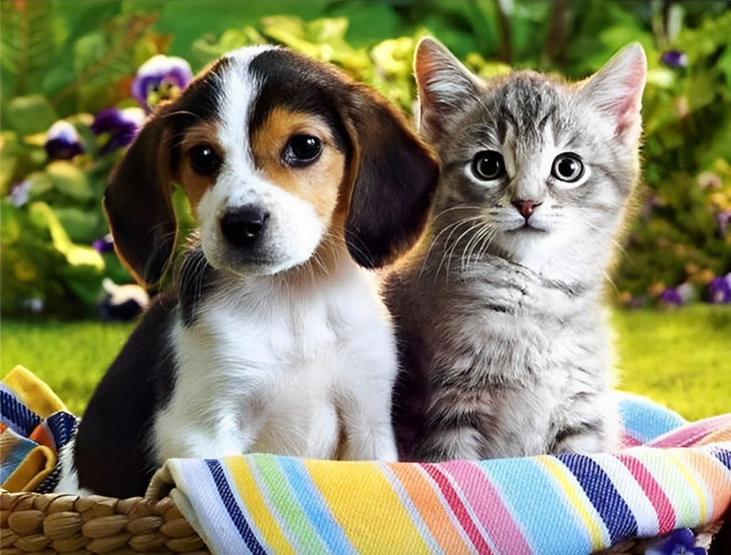 Mignons Chiot Beagle et Chaton Animal Broderie Diamant