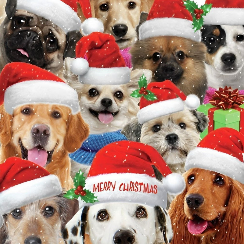 Mignons Chiots de Noël Fête Broderie Diamant