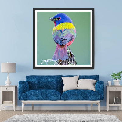 Oiseau aux Plumes Colorées Broderie Diamant
