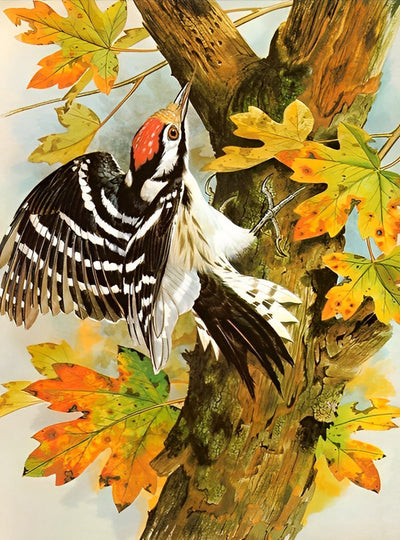Oiseau avec des Motifs sur les Erables Broderie Diamant