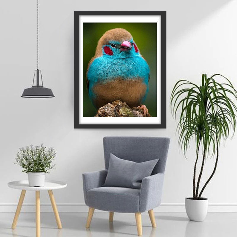 Oiseau Bleu et Marron Broderie Diamant