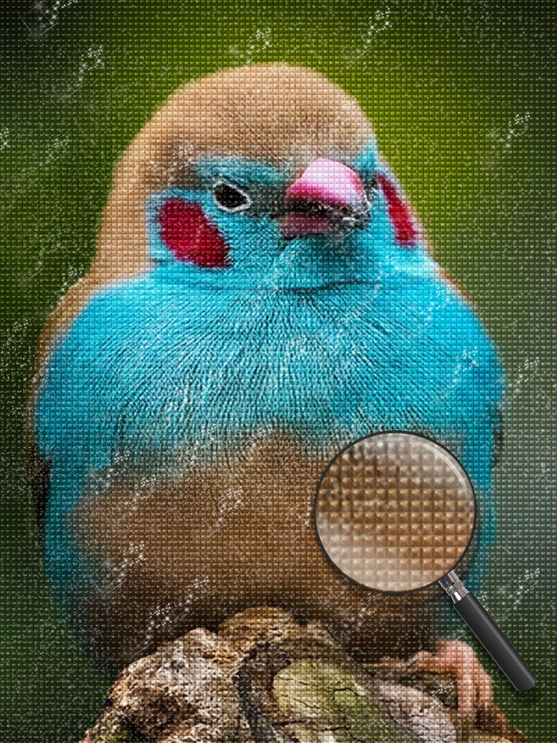 Oiseau Bleu et Marron Broderie Diamant