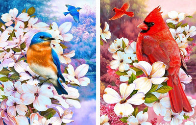 Oiseau Blue et Oiseau Rouge Broderie Diamant