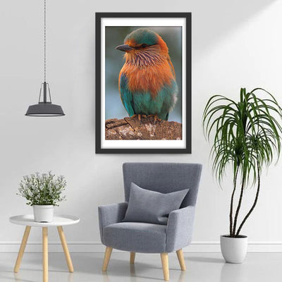 Oiseau Duveteux Broderie Diamant