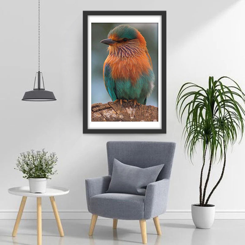 Oiseau Duveteux Broderie Diamant