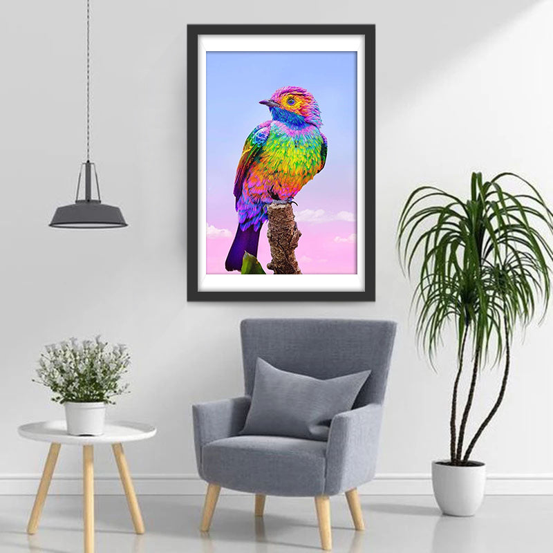 Oiseau en Couleurs d&