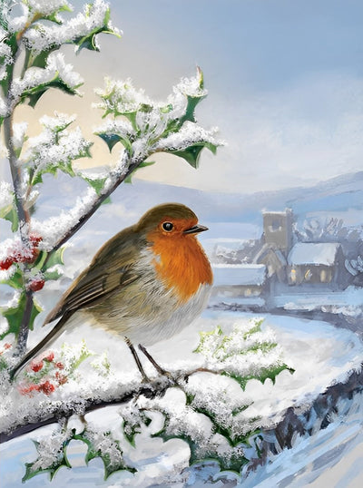 Oiseau et Maison dans la Neige Broderie Diamant