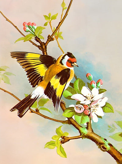 Oiseau Insolite Broderie Diamant