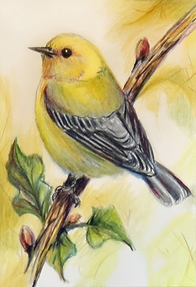 Oiseau Jaune Enrobé Broderie Diamant