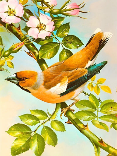 Oiseau Orange et Fleurs Roses Broderie Diamant
