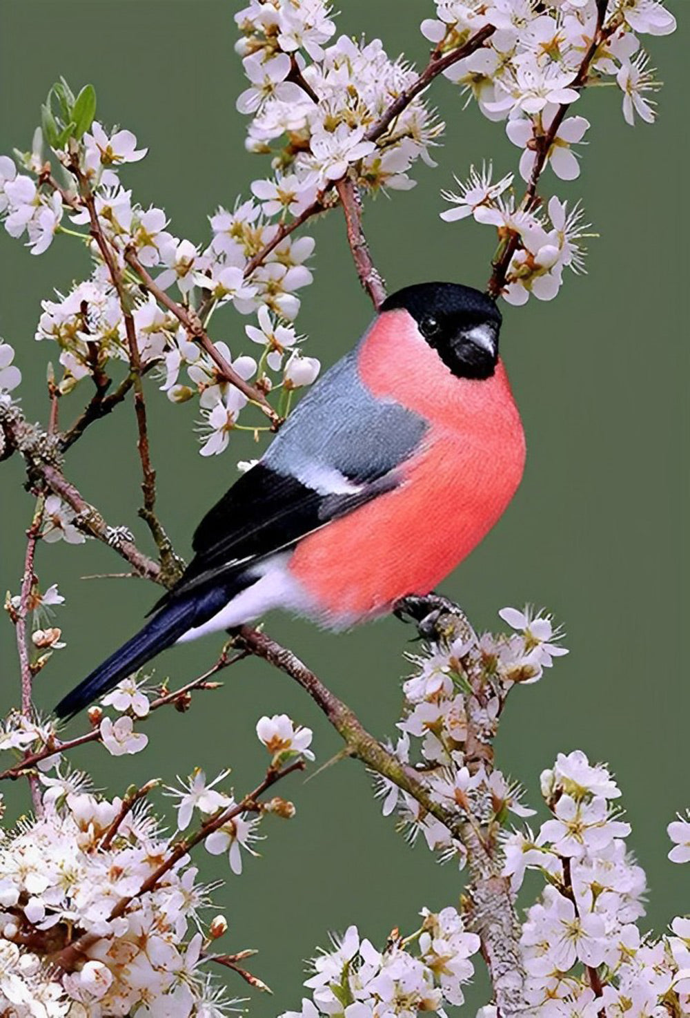 Oiseau Rose Foncé et Fleurs de Prunier Broderie Diamant