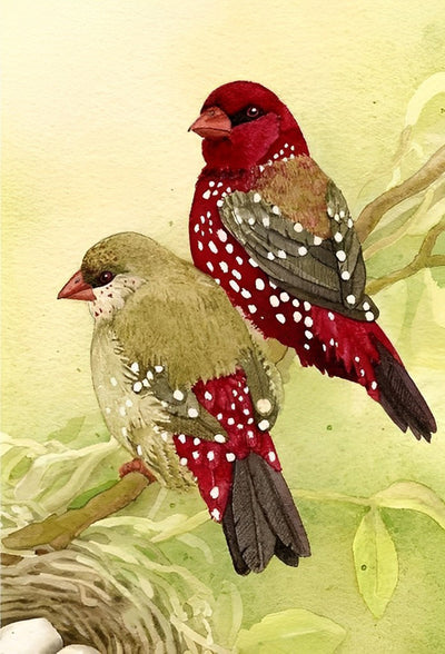 Oiseaux avec des Taches Blanches Broderie Diamant