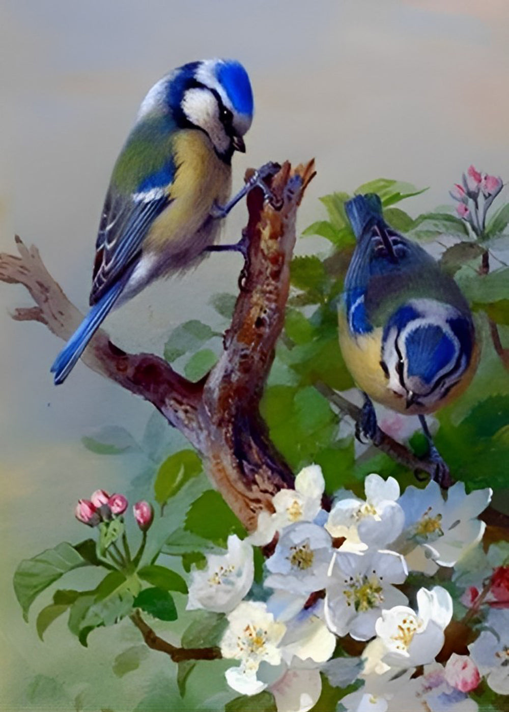 Oiseaux Bleus et Fleurs Blanches Broderie Diamant