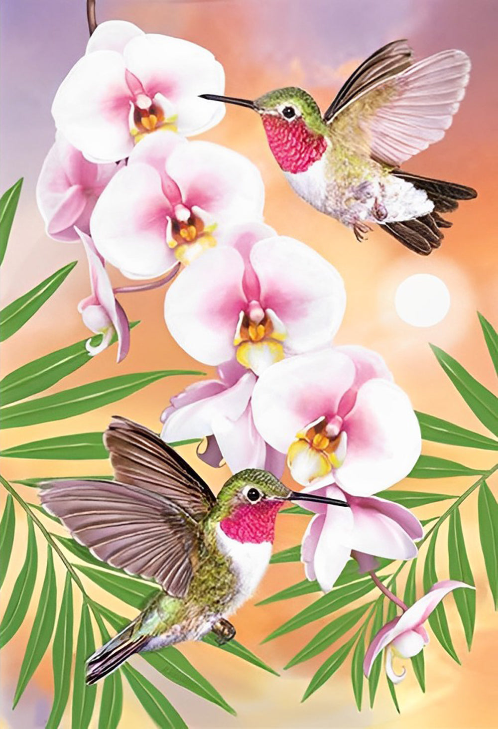 Oiseaux colibris Volant et des Fleurs Roses Broderie Diamant