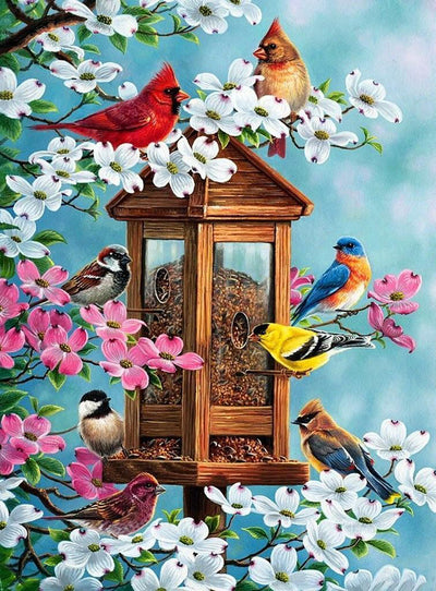 Oiseaux Divers Broderie Diamant