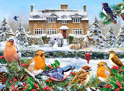 Oiseaux et la Maison dans la Neige Broderie Diamant