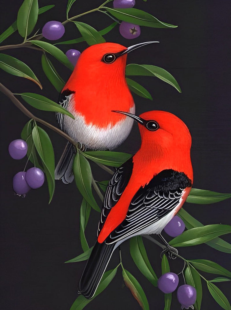 Oiseaux et Olives Broderie Diamant