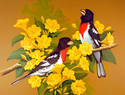Oiseaux Noirs et Blancs avec des Fleurs Jaunes Broderie Diamant
