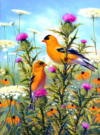 Oiseaux Oranges et Fleurs Variées Broderie Diamant