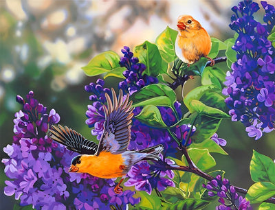 Oiseaux Oranges et Fleurs Violettes Broderie Diamant