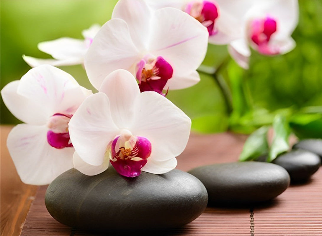 Orchidées Blanches Broderie Diamant