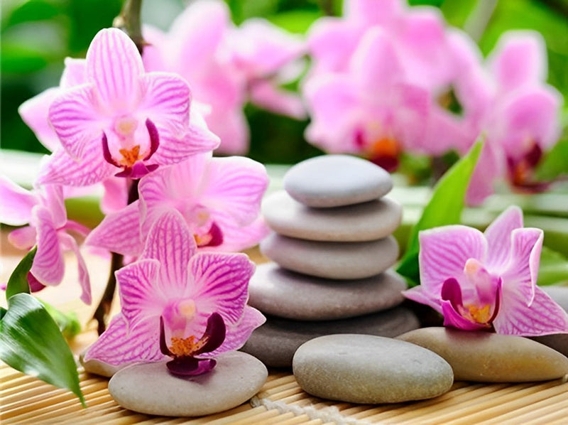 Orchidées Roses et Pierre Broderie Diamant