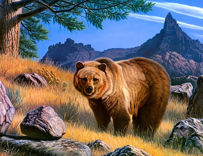 Ours Brun dans les Montagnes Broderie Diamant