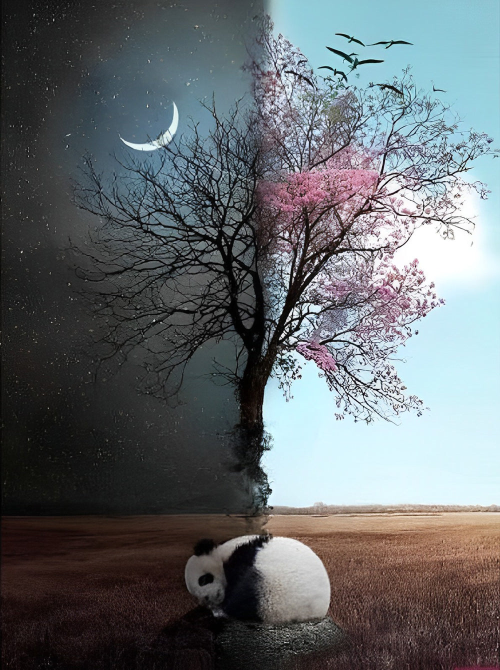 Panda dans le Jour et dans la Nuit Broderie Diamant