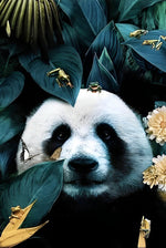 Panda, Papillon et Grenouilles Broderie Diamant