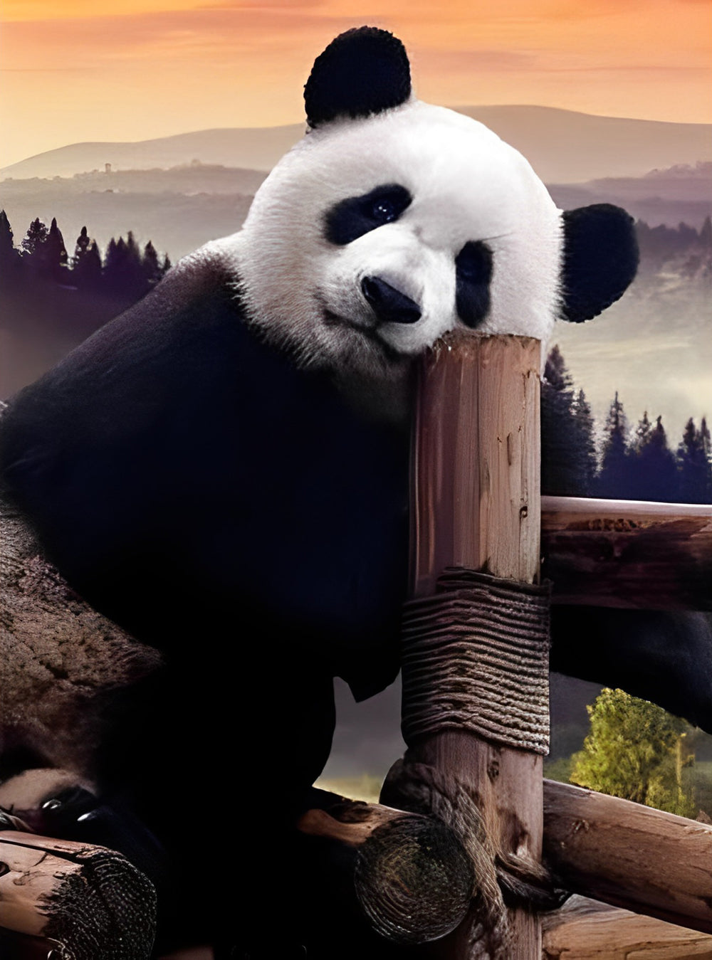 Panda sur Pont en Bois Broderie Diamant