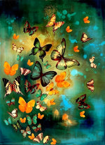 Papillon Différents Broderie Diamant