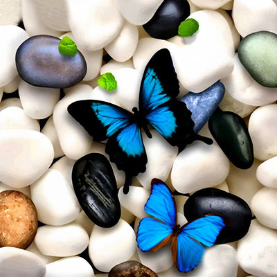 Papillons et Pierre Blanches Broderie Diamant