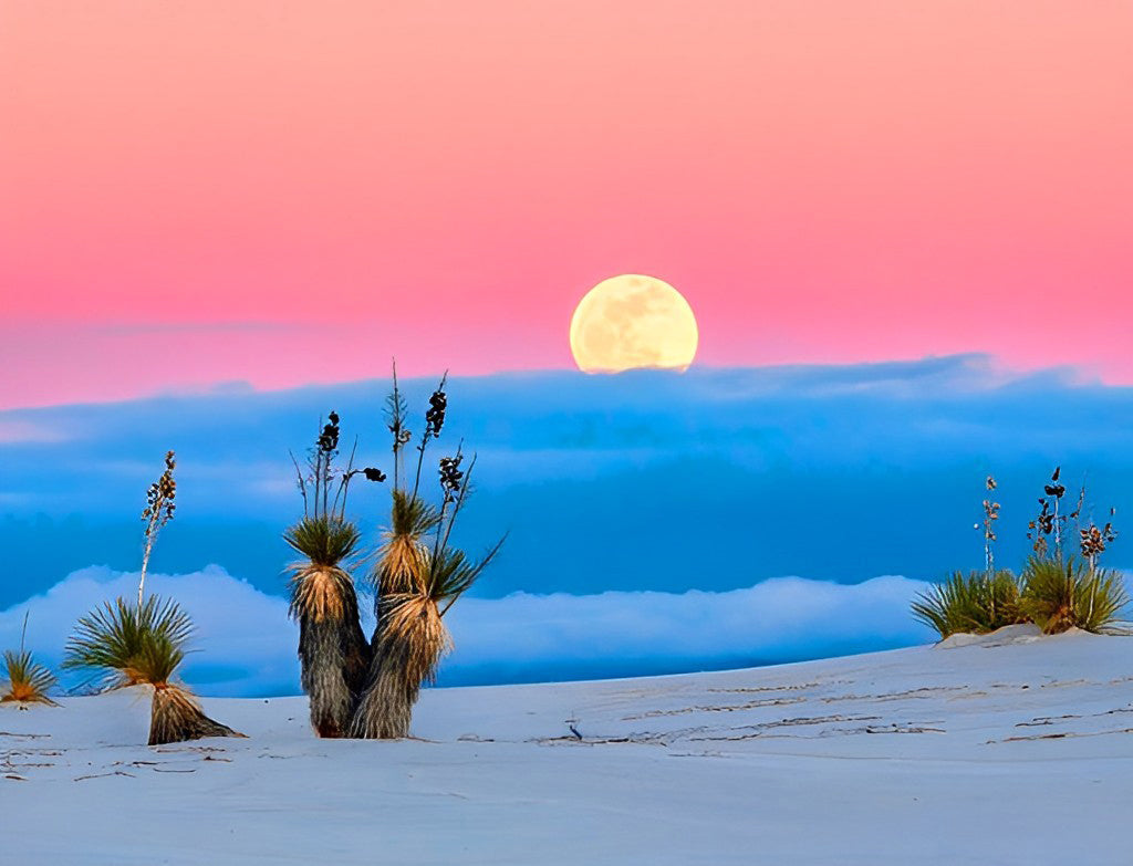 Parc National des White Sands Broderie Diamant