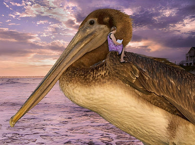 Pélican Marron Broderie Diamant