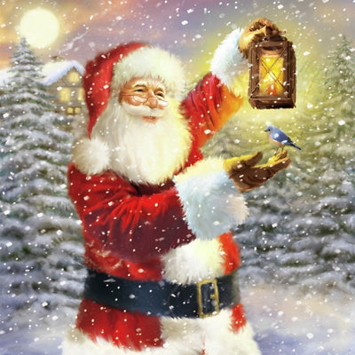 Père Noël et Mésange dans la Neige Broderie Diamant