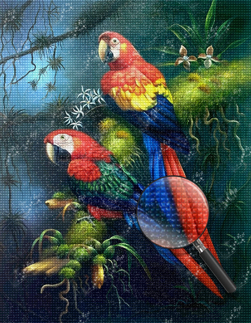 Perroquets Colorés Broderie Diamant