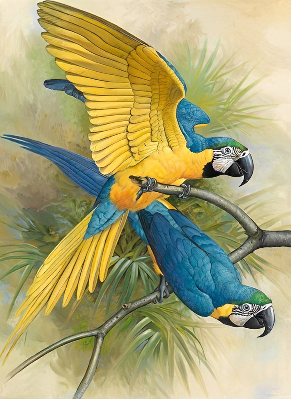 Perroquets Jaunes et Bleus Broderie Diamant