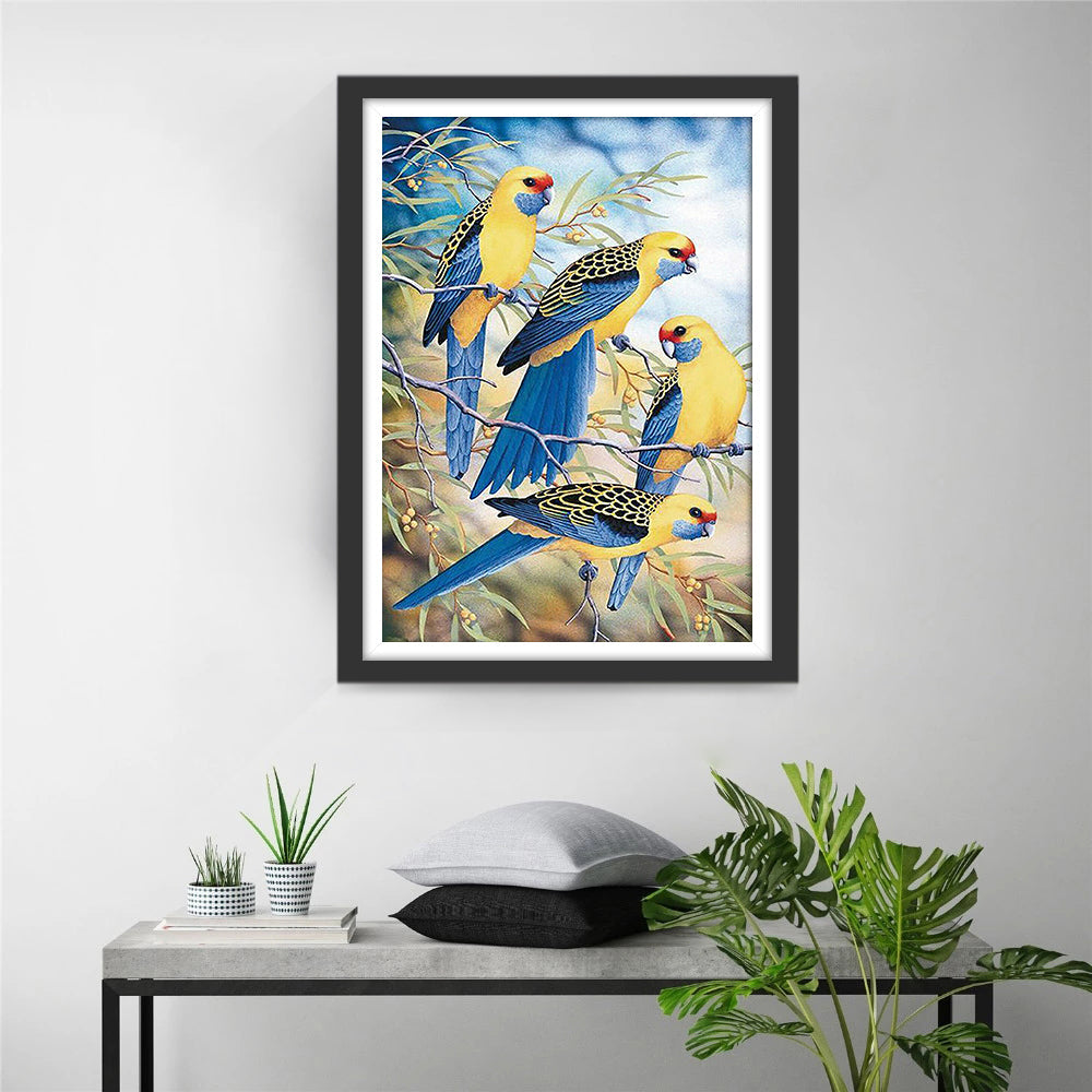 Perruches ondulées Jaunes et Bleues Broderie Diamant