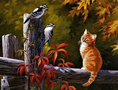Petit Chat Orange Observant les Oiseaux Broderie Diamant