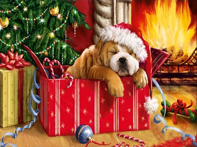 Petit Chien Cadeau Endormi Broderie Diamant