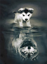 Petit Chien Husky et Loup Gris Broderie Diamant