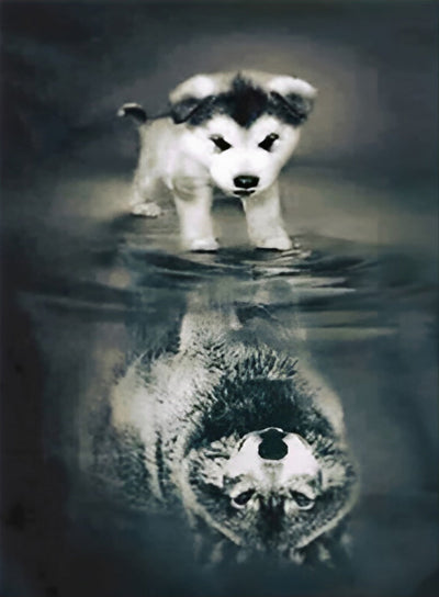 Petit Chien Husky et Loup Gris Broderie Diamant