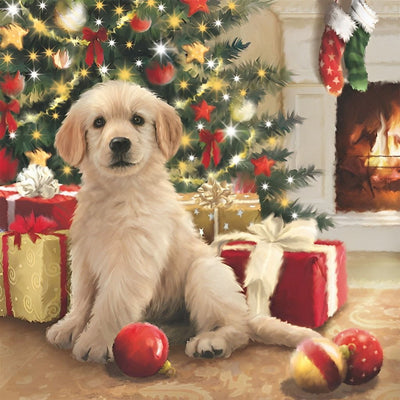 Petit Golden Retriever de Noël Broderie Diamant