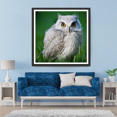 Petit Hibou Blanc Broderie Diamant