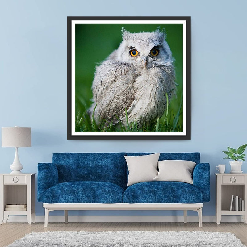 Petit Hibou Blanc Broderie Diamant